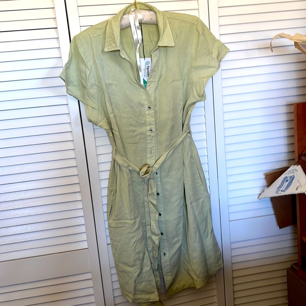 Sage colored tunic dress